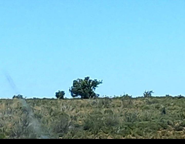 0 Bedroom Property for Sale in Willowmore Eastern Cape